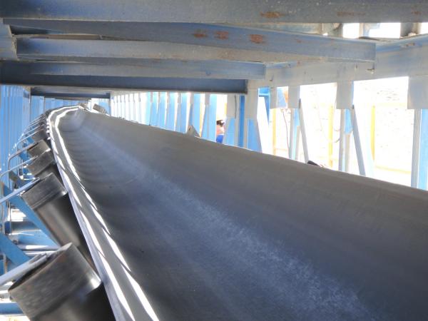 Superior Oil-Resistant Conveyor Belt / Oil-Proof Conveyor Belt
