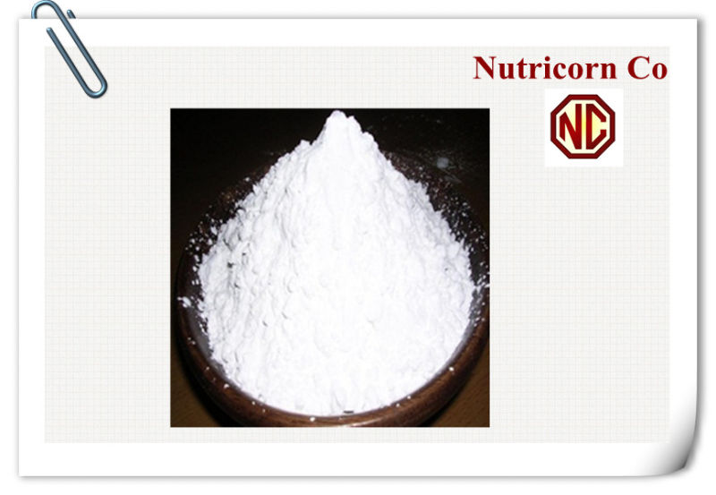 Native Corn/Maize Starch Food Grade