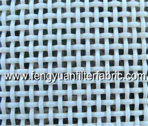 Polyester Plain Weave Mesh for Juice Squeezing