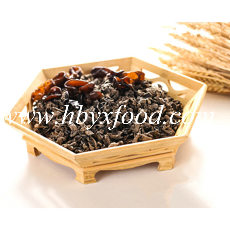 2.5-3cm Organic Natural Black Fungus Cloud Wood Eea