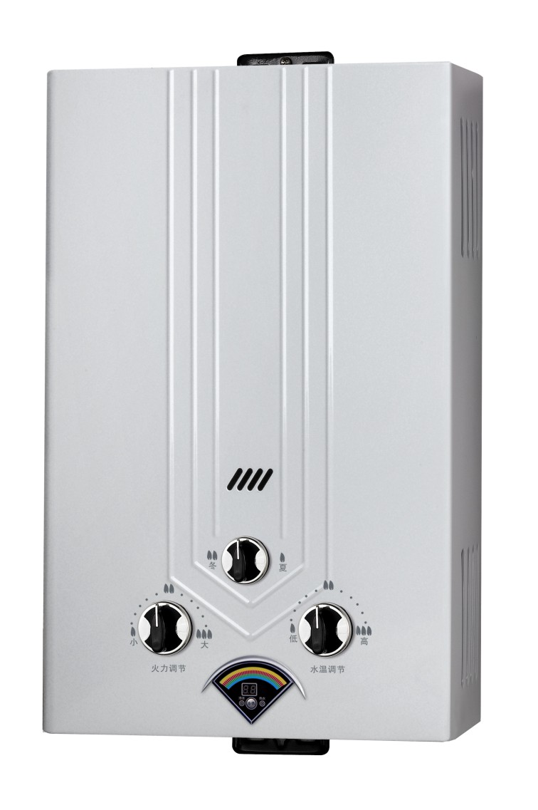 Flue Type Instant Gas Water Heater/Gas Geyser/Gas Boiler (SZ-RS-111)