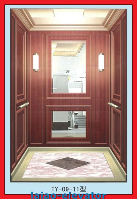 Green Environment Protection Home Elevator Lift with Machine Roomless
