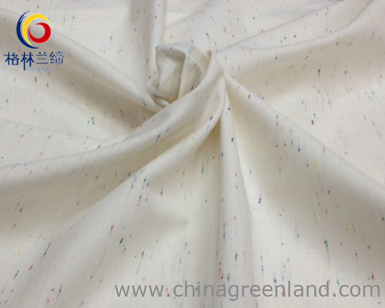 60s 100%Cotton Yarn-Dyed Oxford Fabric for Garmnet