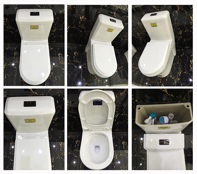 China Manufacturer One Piece Double Flushing Toilet