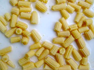 Canned Baby Corn with High Quality