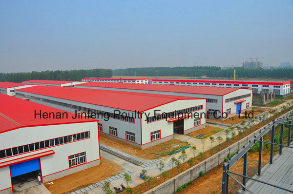 a Type Layer Broiler Pullet Chicken Cage Poultry Equipment