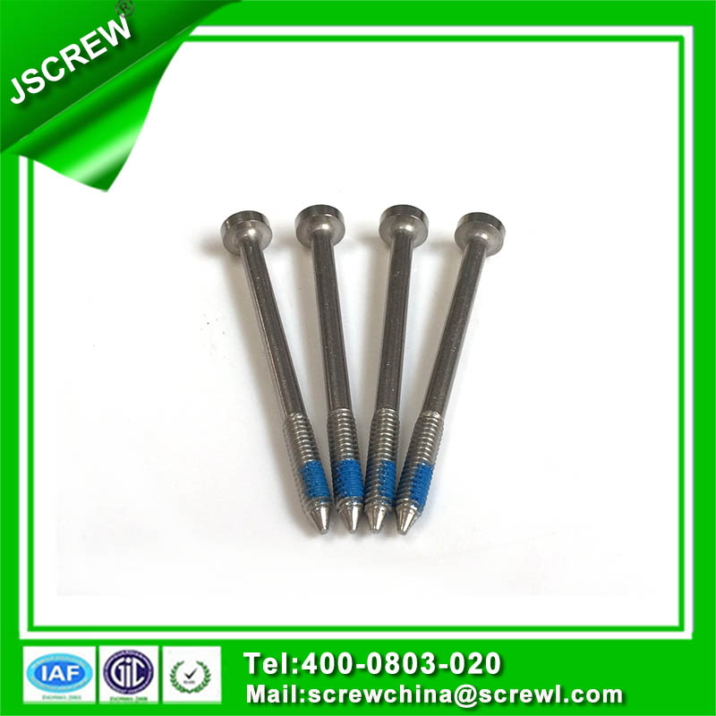 Customized M3 Self Tapping Stainless Steel Screw