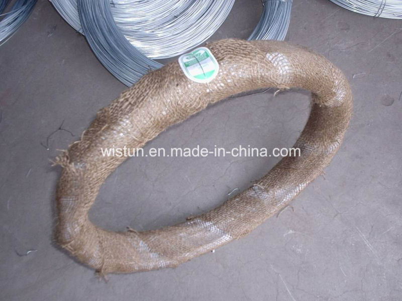 Electric or Hot Dipped Galvanized Metal Wires