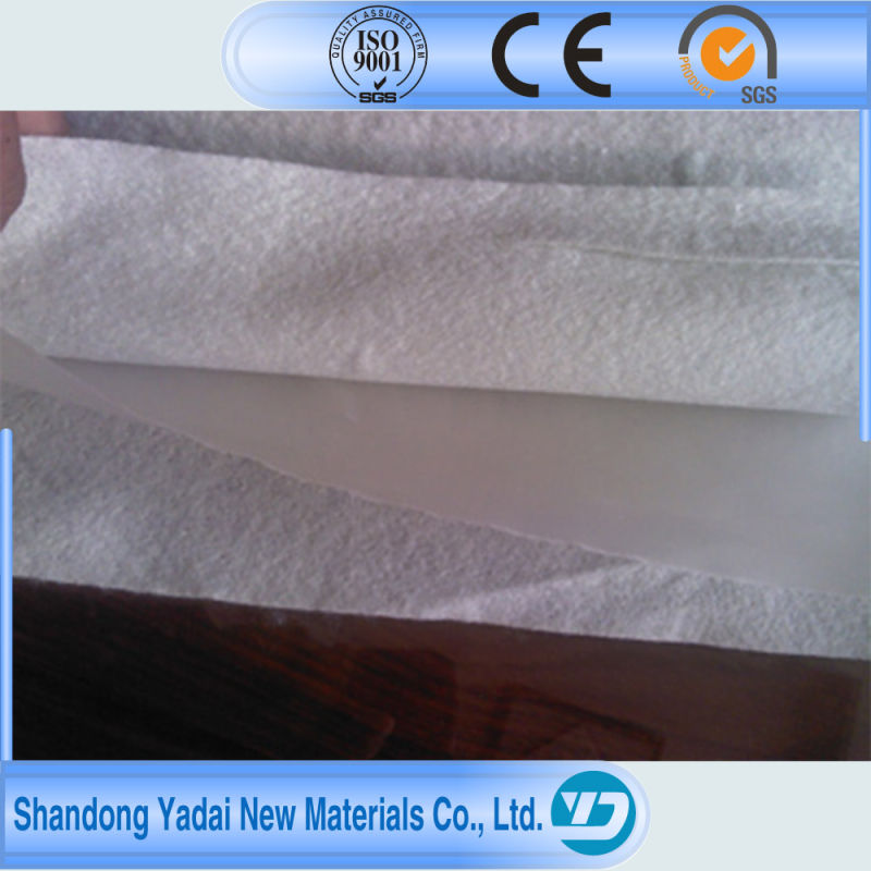 Ce Approved Compound Geomembrane Fabric for Sale Membrane