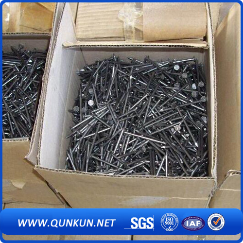 Common Nails Factory Low Price Roof Nail with Umbrella Head