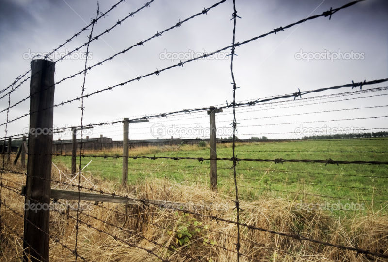 Blue PVC Coated Barbed Wire