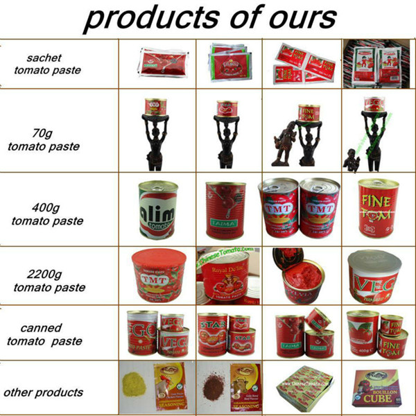 Tomato Paste (Safa brand new crop 2015)