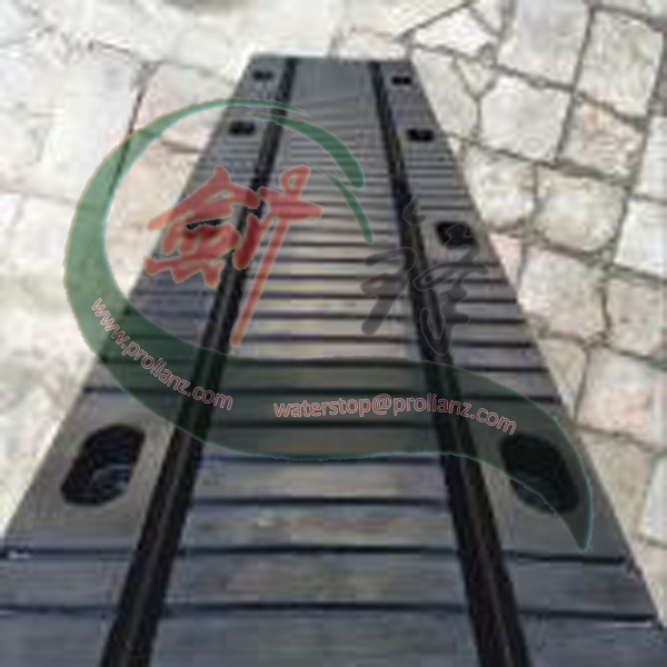 Professional Bridge Rubber Expansion Joint to Pakistan