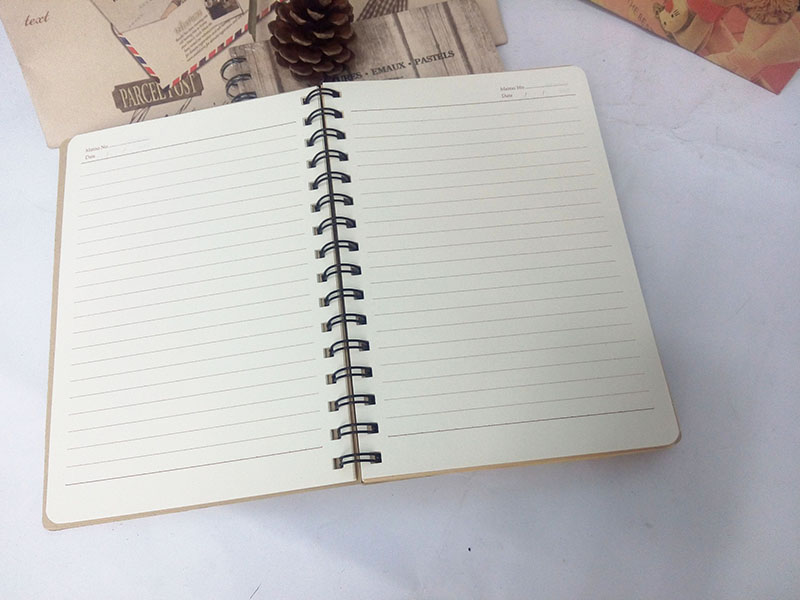 A5 Custom Spiral Notebook Wholesale Notebook (BNP(A5)-WX-01)