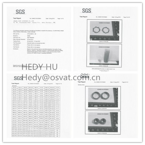 Factory Price China Manufacturer for All Deep Groove Ball Bearing