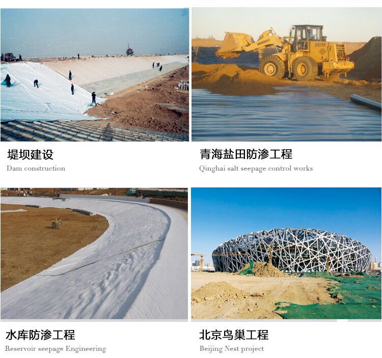 HDPE Geomembrane Suitable Water Conservancy Projects Price Waterproof Membrane