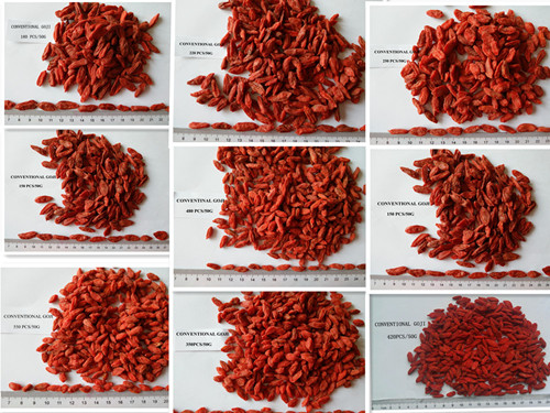 Ningxia Dried Wolfberry