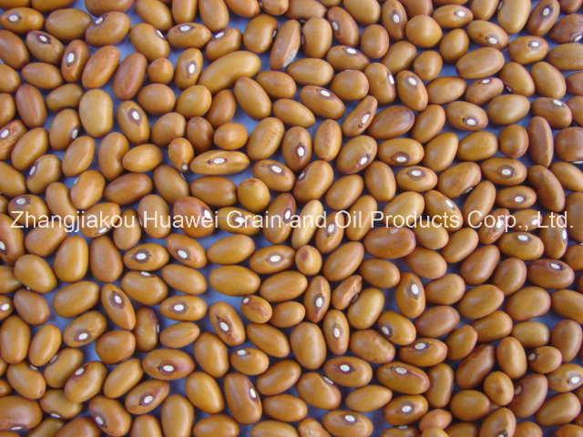 Brown Kidney Beans