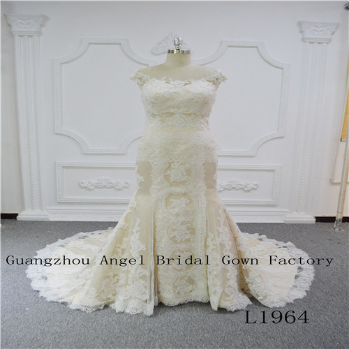 Sleeveless with Perfect Lace Wedding Dress