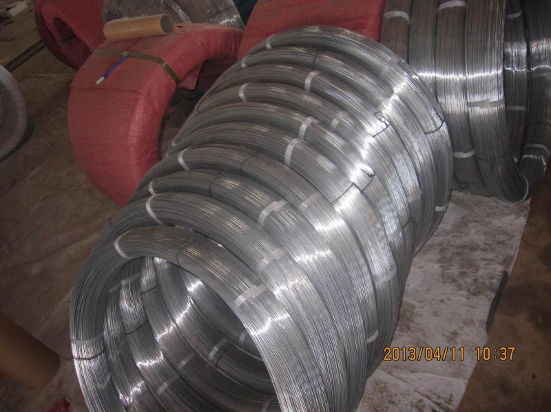 Arame Ovalado, Oval Galvanized Wire