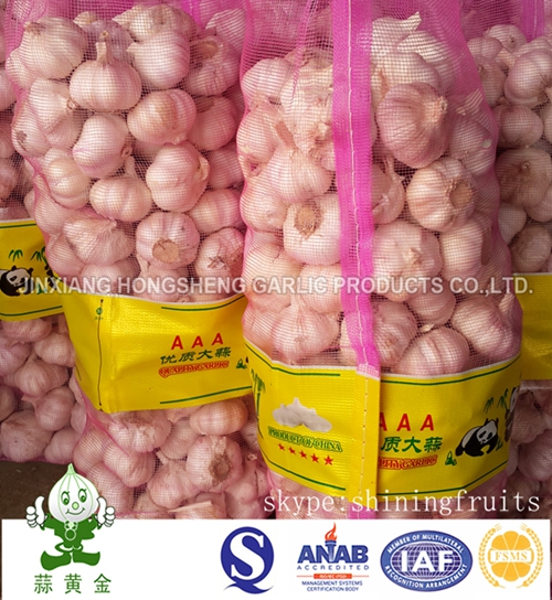 Normal White Garlic 10kgs Carton Packing From China