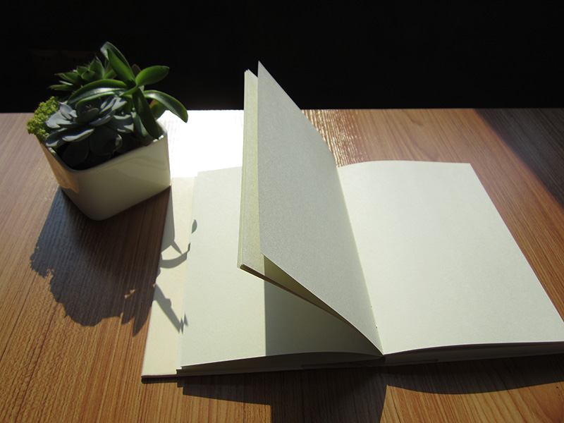 Custom Recycled Easy Carry Softcover Sketch Notebook (XLF3280-K07)