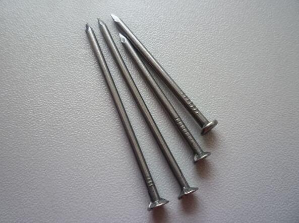 Best Price Common Wire Nail Factory