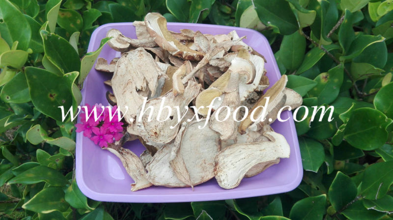 Wild Dried Porcino Mushroom