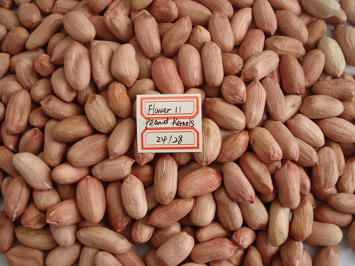 New Crop Red Skin Peanut Kernels