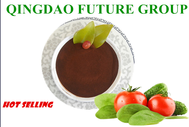 Soluble Organic Fertilizer Fulvic Acid Powder