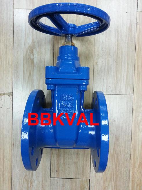 Resilient Gate Valve for Drinking Water