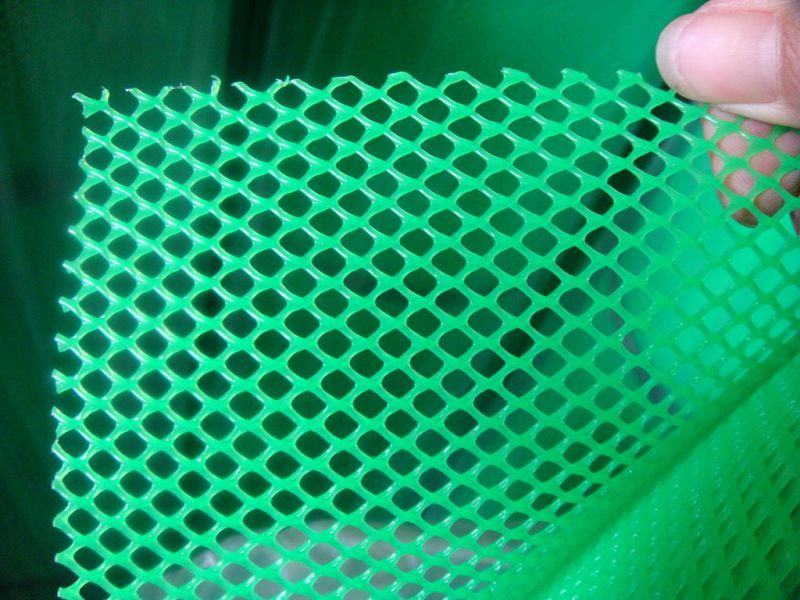 Plastic Flat Mesh for Feed in 1.5cm to 3.0cm Hole