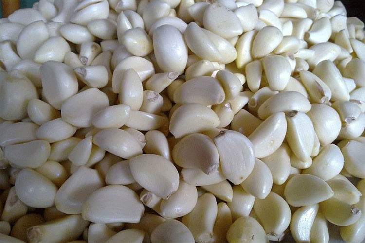Fresh peeled Garlic Clove In 1kg Bag