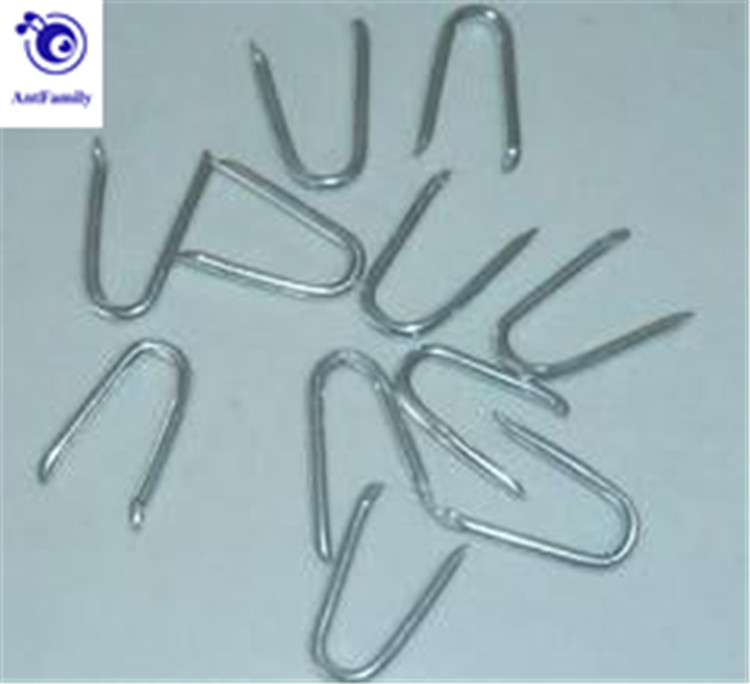 hot sale U Fence staple nails on China