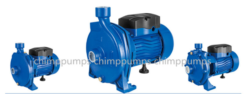 110V/220V Single Phase Electric Powered Clean Centrifugal Water Pump