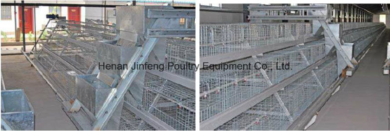 Cheap Automatic Poultry Equipment Broiler Chciken Cage Frame for Farm Use