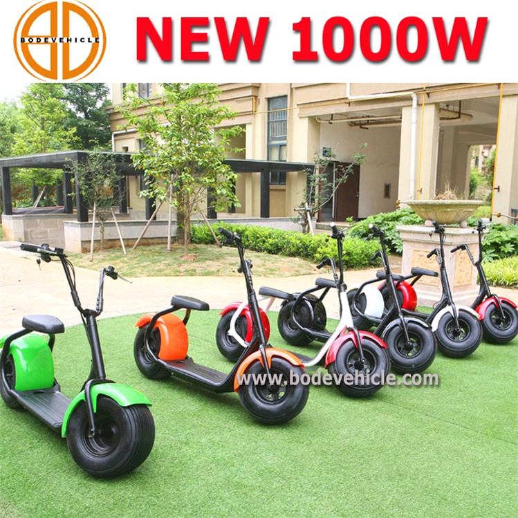 Bode 1000W Halei Harley Big Wheel Electric Scooter for Sale E-Scooter