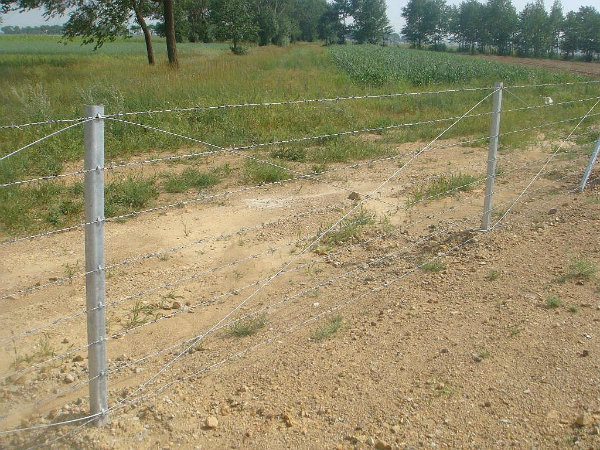 PVC Coated Barbed Iron Wire for Security Fence