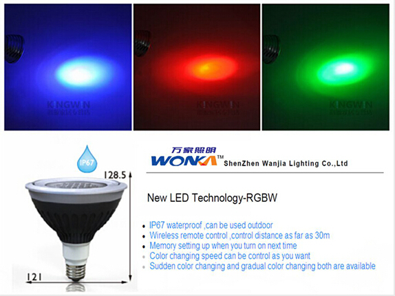 LED Waterproof RGB PAR38 Light with Remote Control