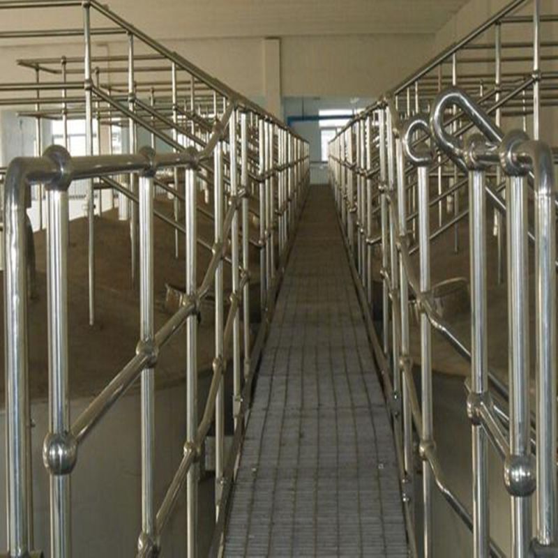 Customized High Quality Hot Galvanized Tubular Handrail Ball Fence