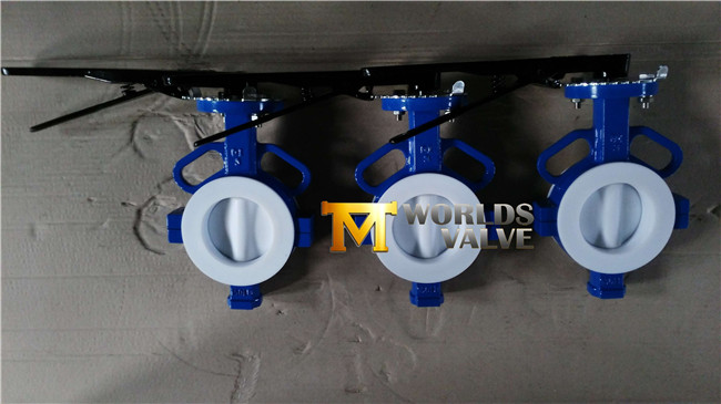 PTFE Coating Wafer Butterfly Valve