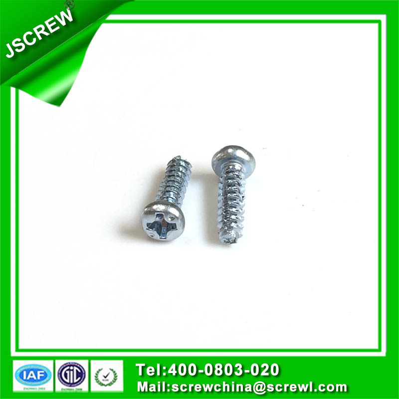 Fillister Pan Head Customer Screw for Sheet Metal