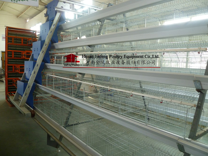 Automatic Poultry Chicken Equipment with Hot / Cold Galvanization