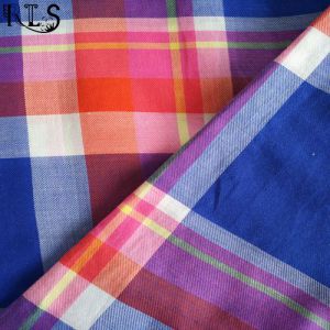 Cotton Poplin Woven Yarn Dyed Fabric for Garments Shirts/Dress Rls60-10po