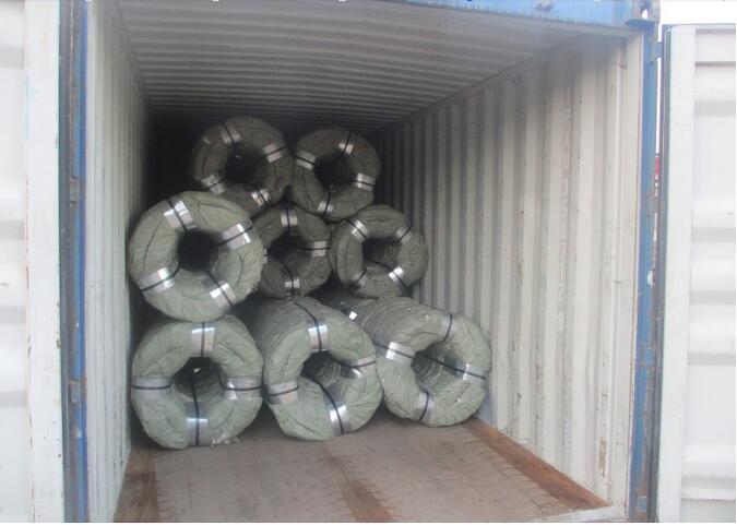 Top Quality with Bottom Price Galvanized Razor Barbed Wire