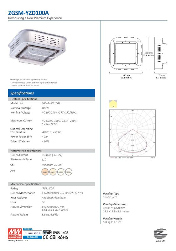 IP65 Ik08 Rated 100W Superbright LED Canopy Light with Meanwell Driver