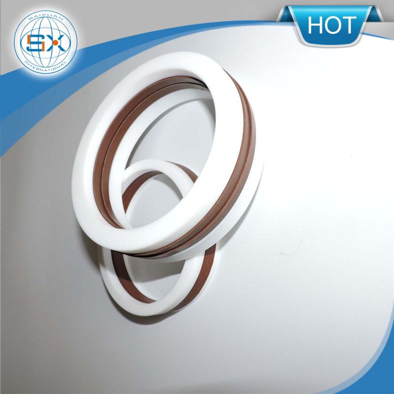 V Rings Seals, Va, Vs, Vl, Ve, Metal-Cased V-Ring Seal