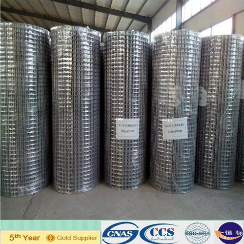 Welded Wire Mesh in Roll Used for Construction