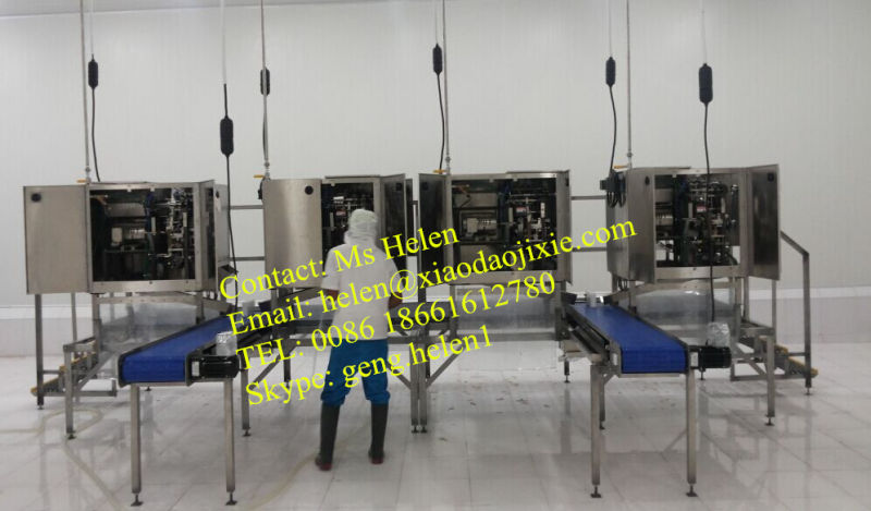 New Style Shrimp Peeling Machine for Hotel Restaurant