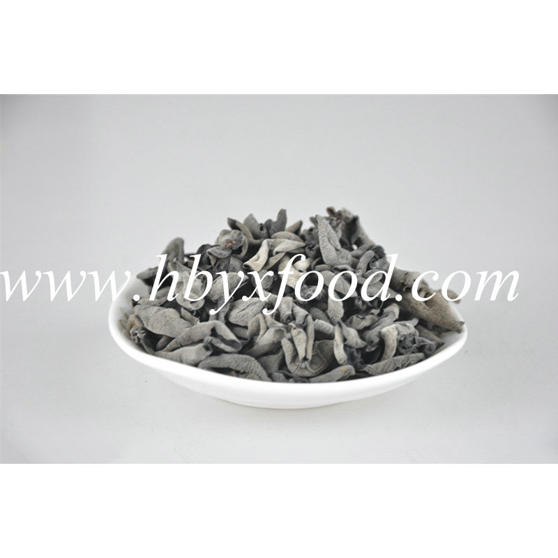 1.5-2cm High Nutrition Chinese Cloud Ear Black Fungus Wood Ear